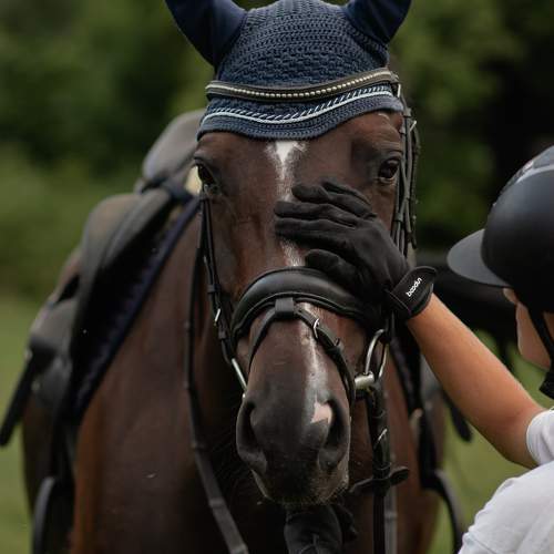 Photo #11727202