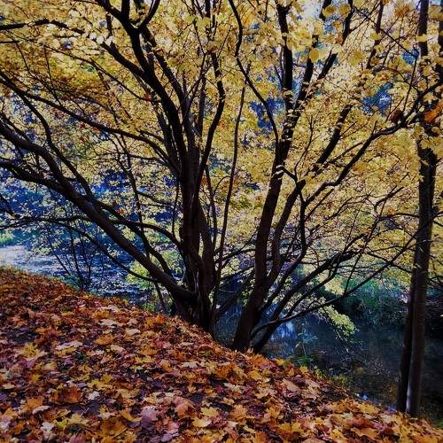 Photo #11727330