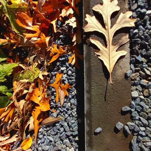 Photo #11727503