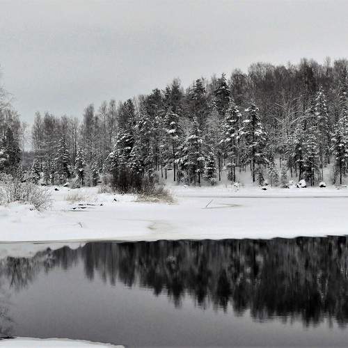 Photo #11728036