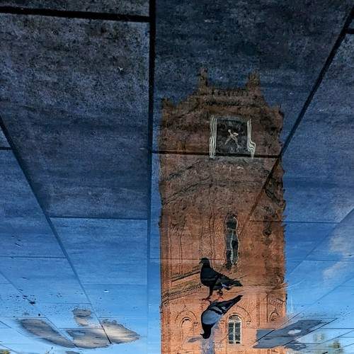 Photo #11728096