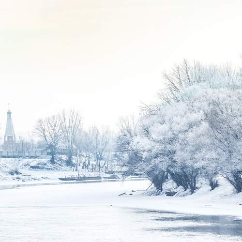 Photo #11728140