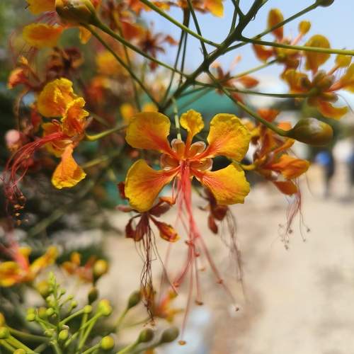 Photo #11728224
