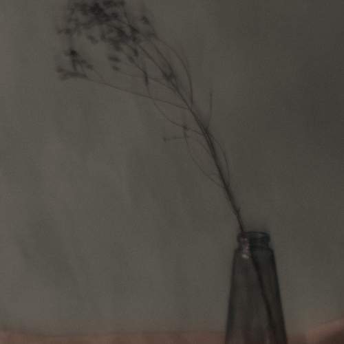 Photo #11728573