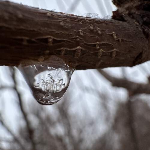 Photo #11728576