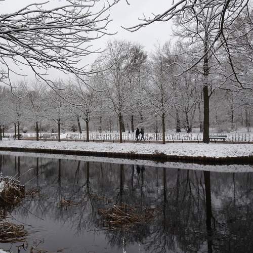 Photo #11728591
