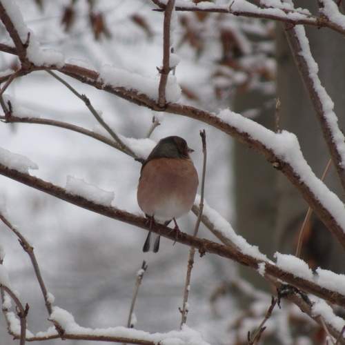 Photo #11728617