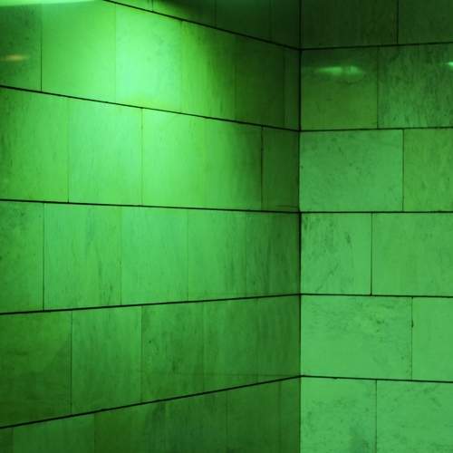 Photo #11728662