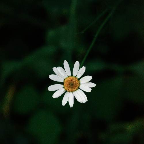 Photo #11728837