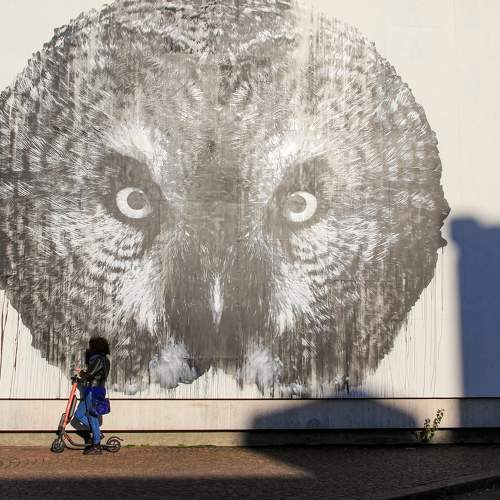 Photo #11728870