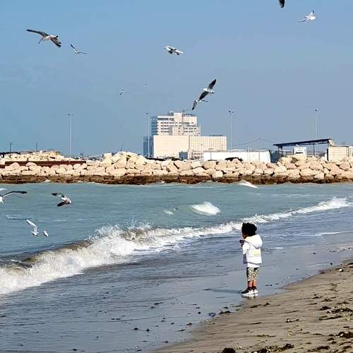 Photo #11728878