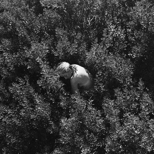 Photo #11728985