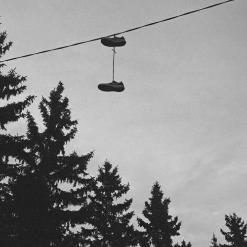 Photo #11729014