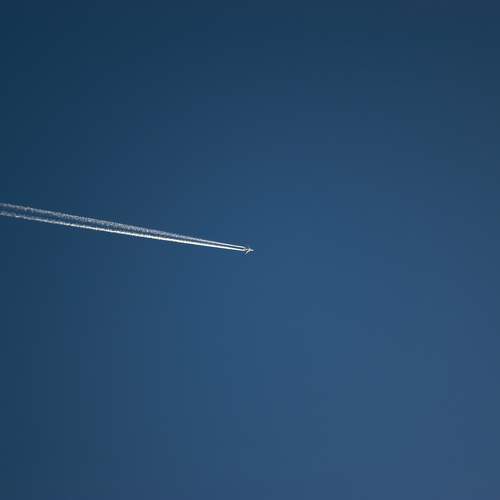 Photo #11729027