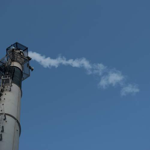 Photo #11729028