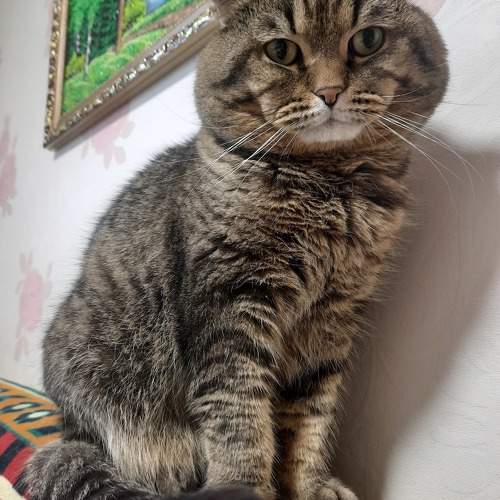 Photo #11729189