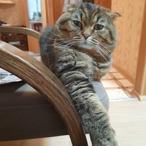 Photo #11729211