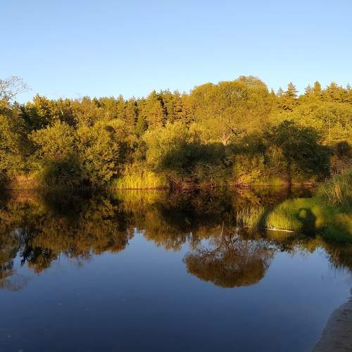 Photo #11729353