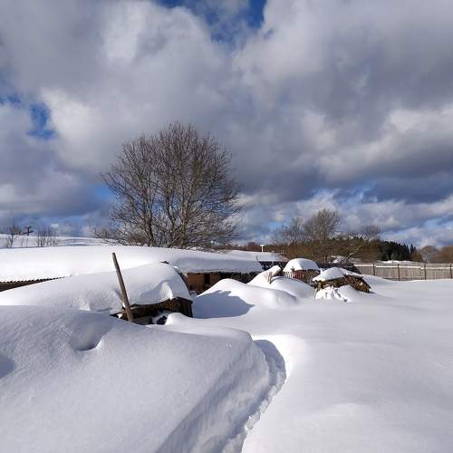 Photo #11729360