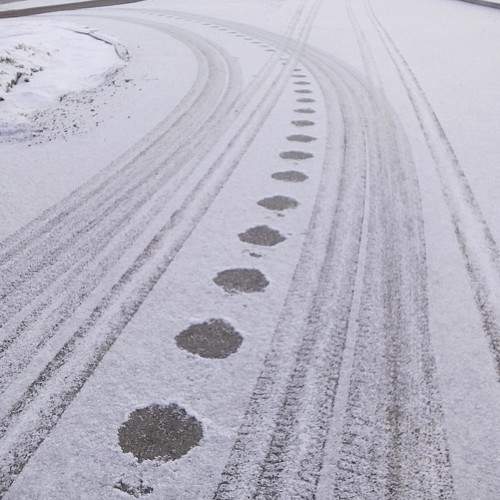 Photo #11729424
