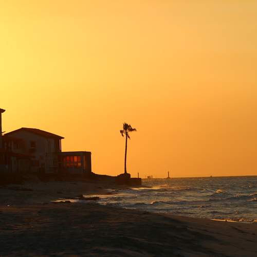 Photo #11729451