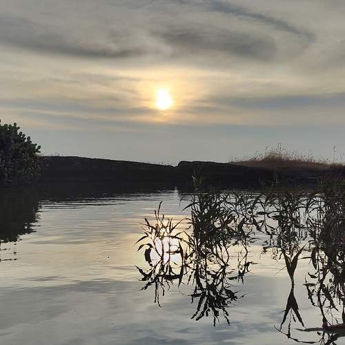 Photo #11729579