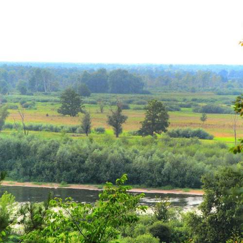 Photo #11729678