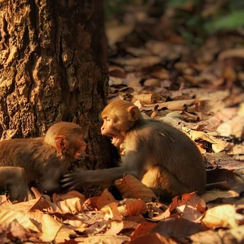 Photo #11729746