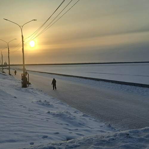 Photo #11729788