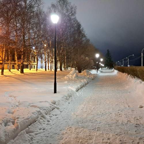 Photo #11729789