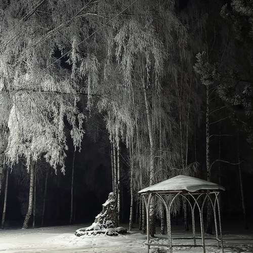 Photo #11729823