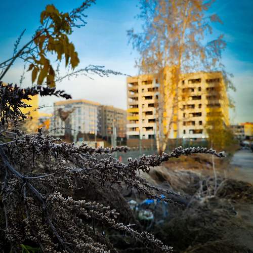 Photo #11729868