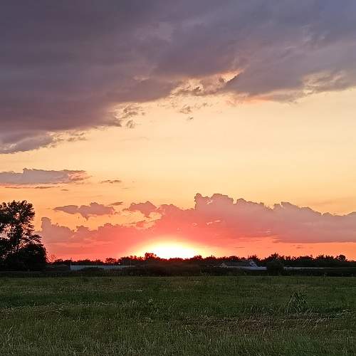 Photo #11730064