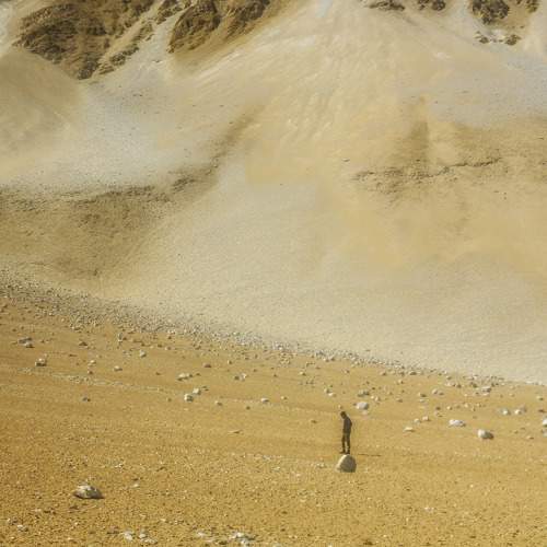 Photo #11730073