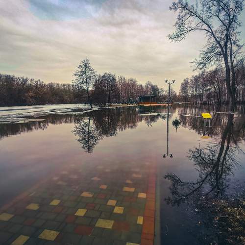 Photo #11730096