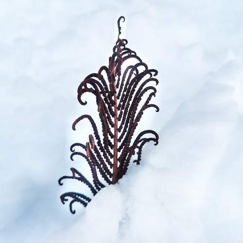 Photo #11730104