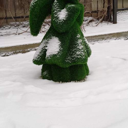 Photo #11730245