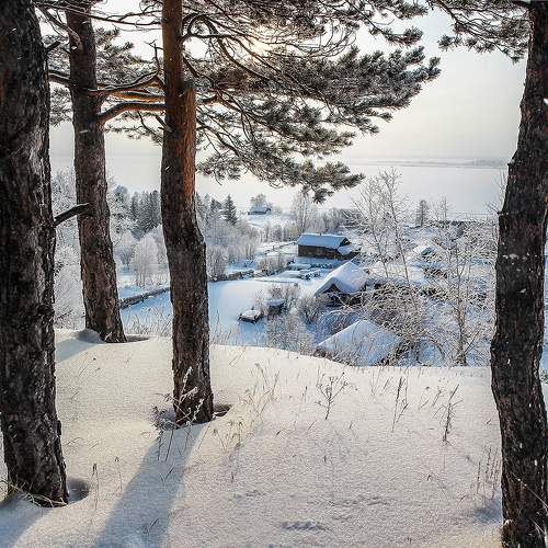 Фотография #11730267