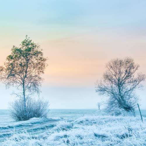 Photo #11730291