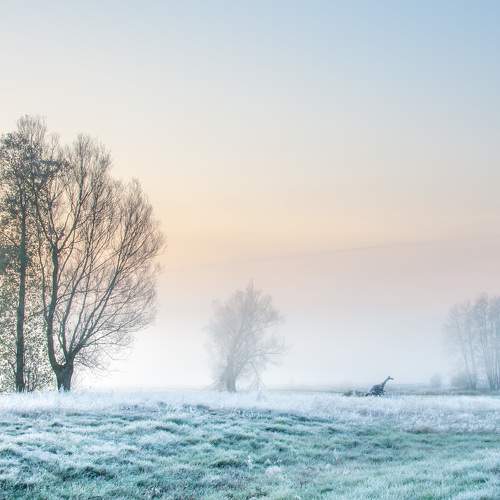 Photo #11730324