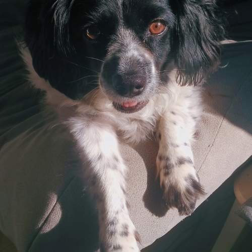 Photo #11730556