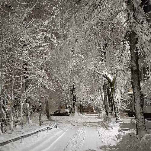 Photo #11730728