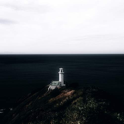 Photo #11730818