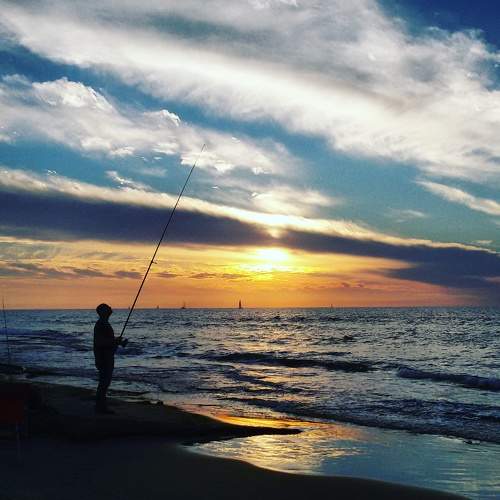 Photo #11730831