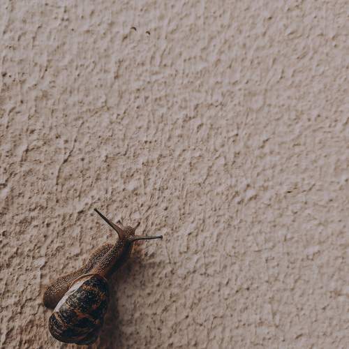 Photo #11730858