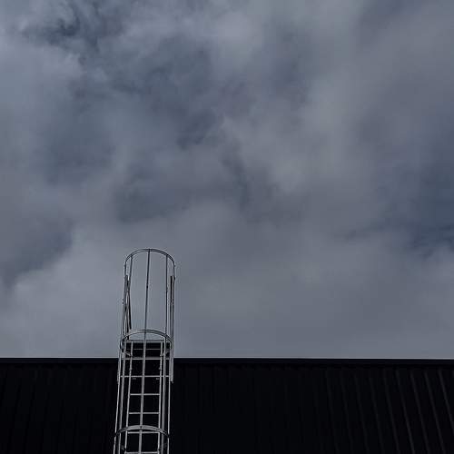 Photo #11730870