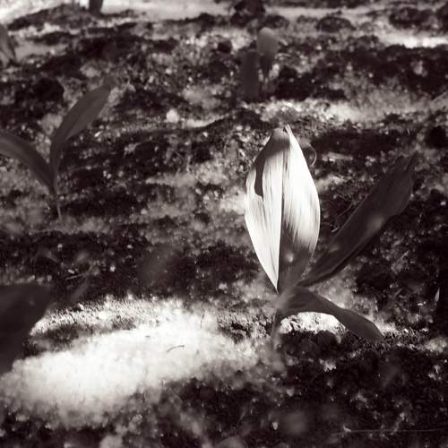 Photo #11731193