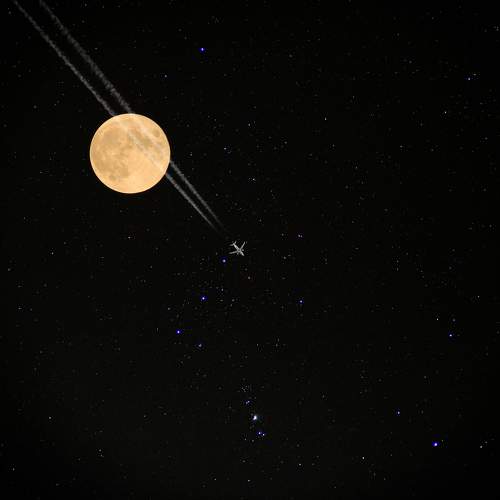 Photo #11731223