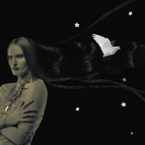 Photo #11731307