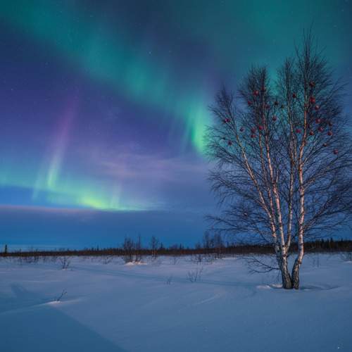 Photo #11731406